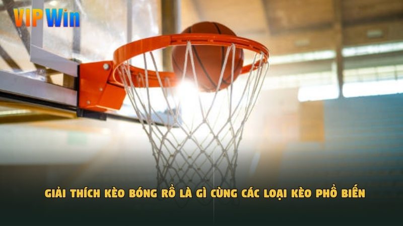 Giải thích kèo bóng rổ là gì cùng các loại kèo phổ biến
